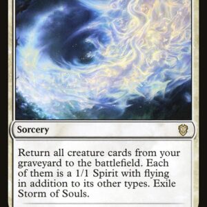Storm of Souls