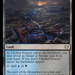 Choked Estuary