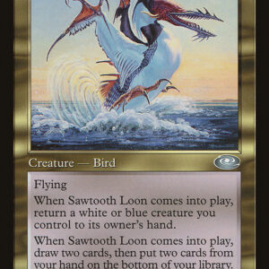 Sawtooth Loon