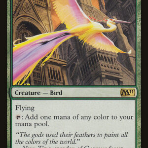 Birds of Paradise