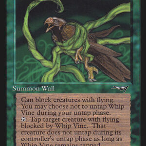 Whip Vine
