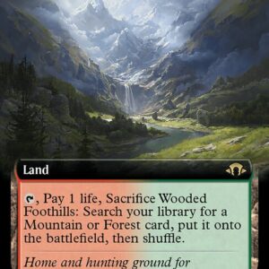 Wooded Foothills