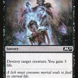 Lich's Caress