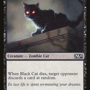 Black Cat
