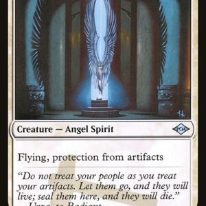 Angelic Curator