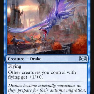 Windstorm Drake