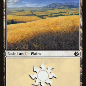 Plains