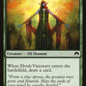 Elvish Visionary