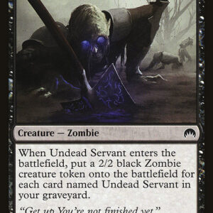 Undead Servant