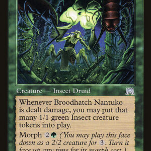 Broodhatch Nantuko