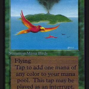 Birds of Paradise