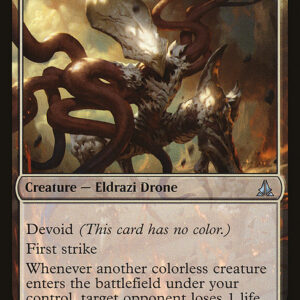 Flayer Drone