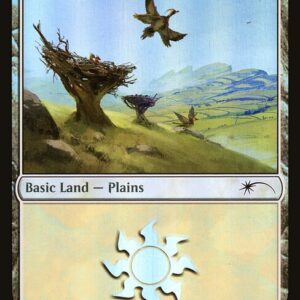 Plains
