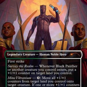 Black Panther, Wakandan King