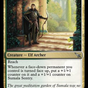 Sumala Sentry