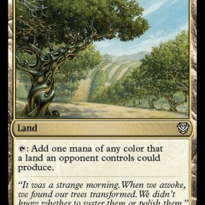 Exotic Orchard