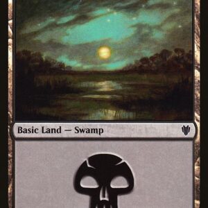 Swamp