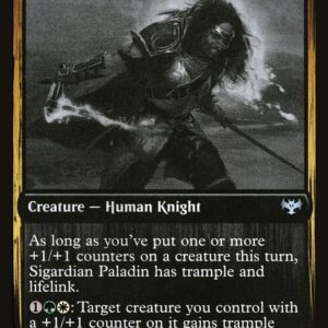 Sigardian Paladin