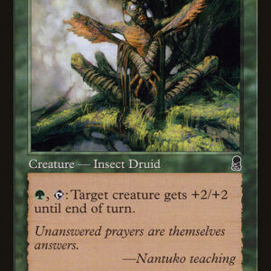 Nantuko Disciple