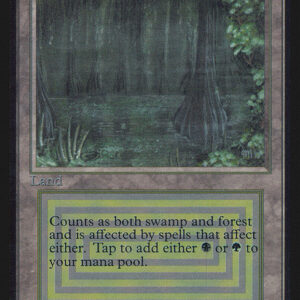 Bayou