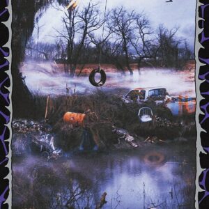 Swamp