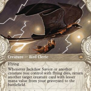 Jackdaw Savior