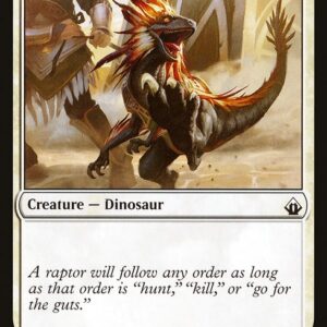 Raptor Companion