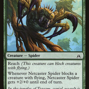 Netcaster Spider
