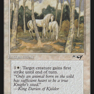 Noble Steeds