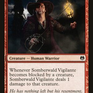 Somberwald Vigilante
