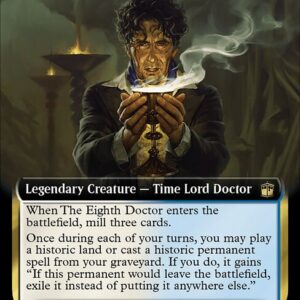 The Eighth Doctor