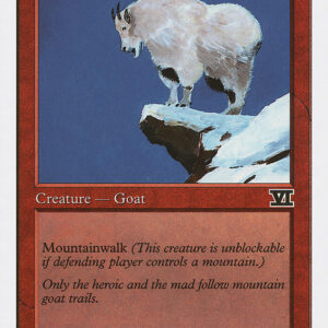 Mountain Goat