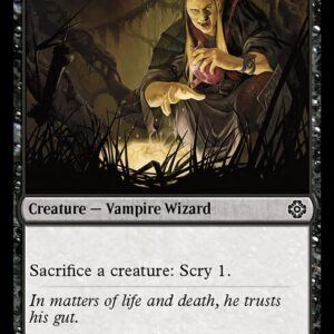 Viscera Seer