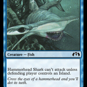 Hammerhead Shark