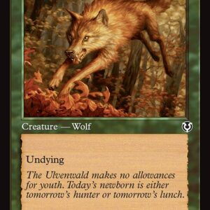 Young Wolf
