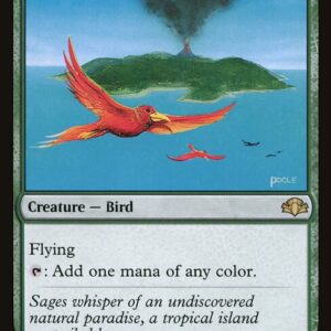 Birds of Paradise