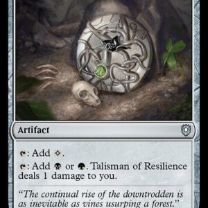 Talisman of Resilience