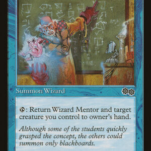 Wizard Mentor