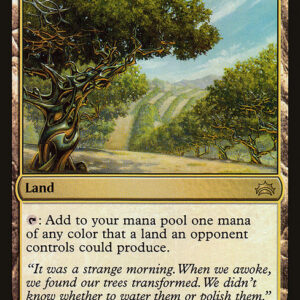 Exotic Orchard
