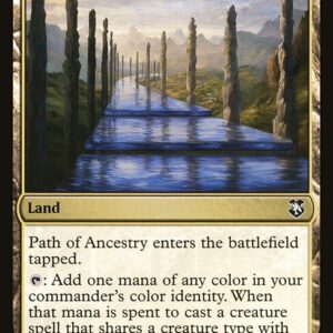Path of Ancestry