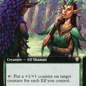 Immaculate Magistrate