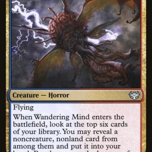 Wandering Mind