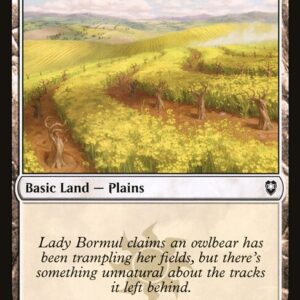Plains