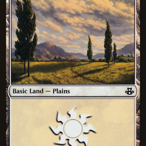 Plains
