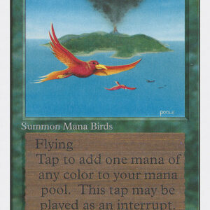 Birds of Paradise
