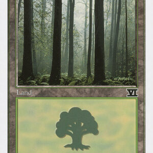 Forest