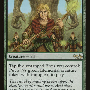 Voice of the Woods