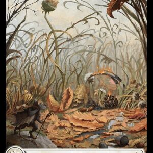 Plains