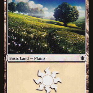 Plains