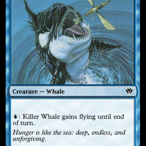 Killer Whale